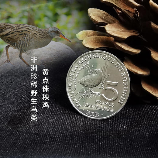 【法定货币】非洲珍稀野生鸟类纪念币套装（6枚） 商品图4