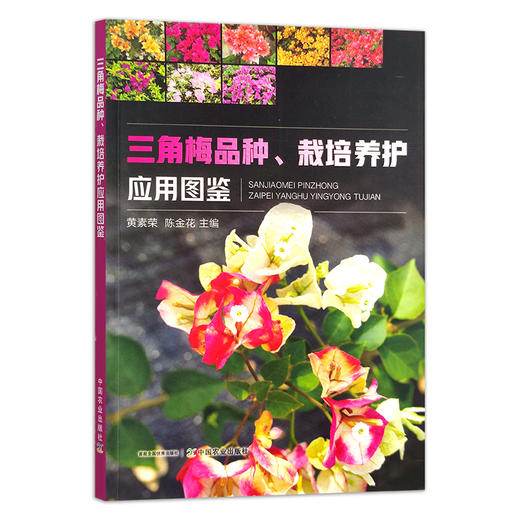三角梅品种、栽培养护应用图鉴 黄素荣,陈金花 园艺 花卉 花木 梅花 寒梅 园林 29280 商品图1