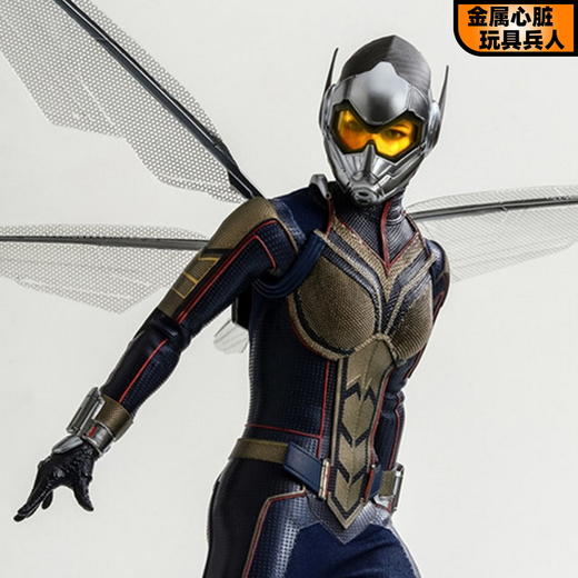 Hottoys 限量发售系列 黄蜂女 1/6 商品图2