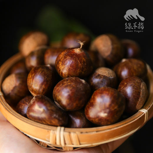 生态鲜板栗（圆通） | 合作生产*Eco-Fresh chestnut | Partner Production 商品图2
