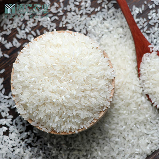 【米中茅台，强烈推荐 】扬德五常稻花香米 商品图5