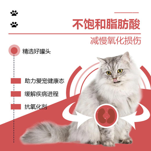 流体处方罐-肾脏-猫用158g 商品图1