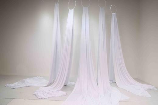 凤尾帘（运费自理） 商品图0