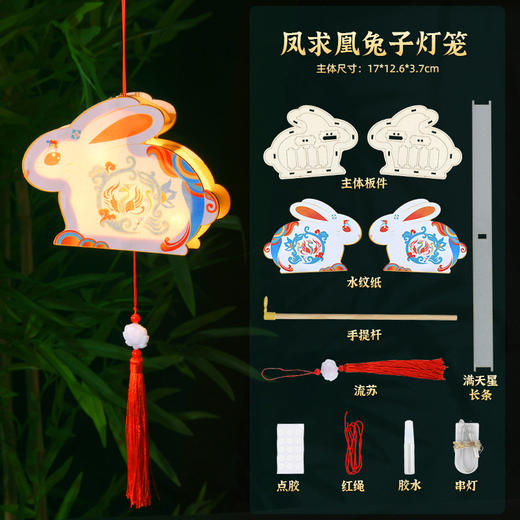 2022春节元宵圣诞灯笼古风花草手提新年灯笼儿童diy发光花灯宫灯玩具 商品图2