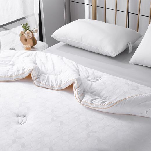 多喜爱 柔然大豆舒适加厚冬被 cs 商品图3