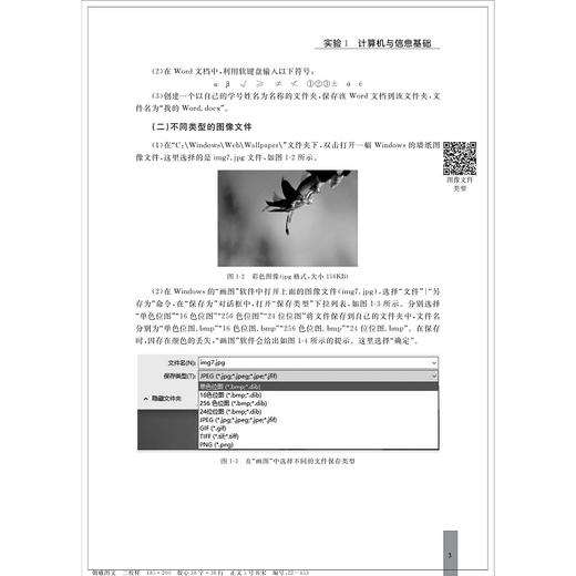 大学计算机基础实践教程（Windows 10+Office 2019）（第二版）/浙江大学出版社/张荣主编/叶苗群、江先亮、杨任尔 副主编/第2版 商品图3