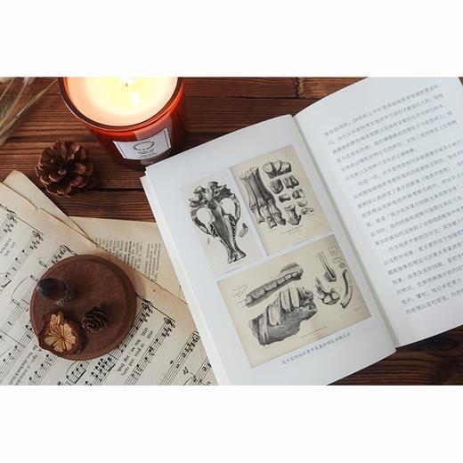 (仓发) 苗德岁讲达尔文（《物种起源》译者、著名古生物学家苗德岁带你走进达尔文的奇妙世界）/译林出版社/[美国]苗德岁/9787544787956 商品图2