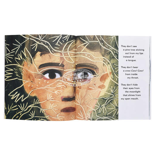 预售 【中商原版】I Talk Like a River 我说话像河流 Sydney Smith 英文原版 进口图书 格林威奖名家儿童绘本 故事图画书 3-7岁 商品图7