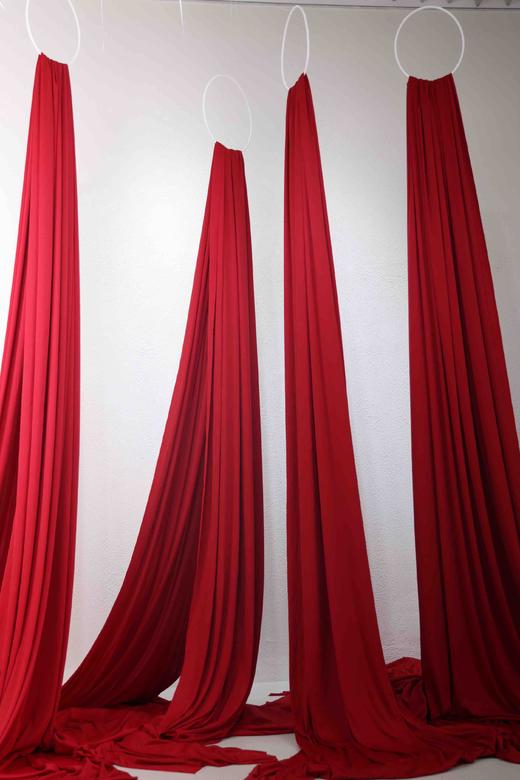 凤尾帘（运费自理） 商品图7