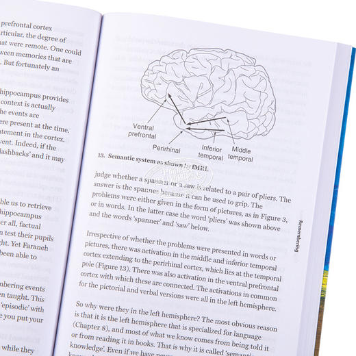 预售 【中商原版】Cognitive Neuroscience: A very Short Introduction 英文原版 牛津通识系列：认知神经科学 Richard Passingham 商品图3