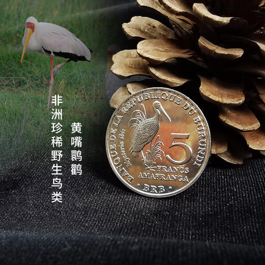 【法定货币】非洲珍稀野生鸟类纪念币套装（6枚） 商品图2