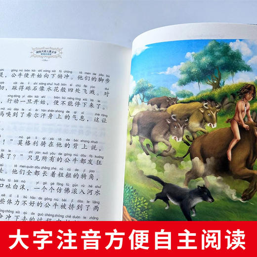 丛林历险记 商品图3