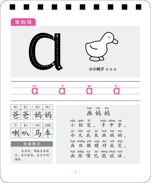 (仓发) 一年级同步学习大卡拼音/长江少年儿童出版社/海豚低幼馆/9787556093151 商品图2