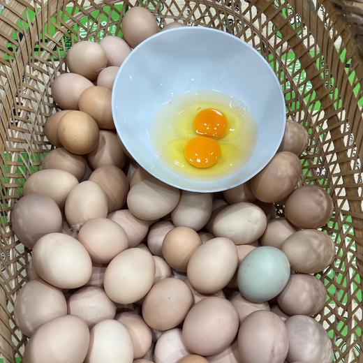 本地 散养土鸡蛋 （不吃饲料）（30枚） 商品图5