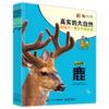真实的大自然 陆地动物1（全6册） ——韩国与元媒体公司 著 电子工业出版社 商品缩略图0