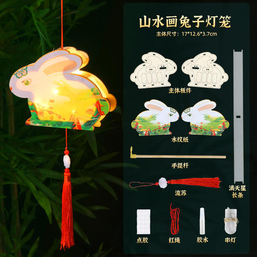 2022春节元宵圣诞灯笼古风花草手提新年灯笼儿童diy发光花灯宫灯玩具 商品图4