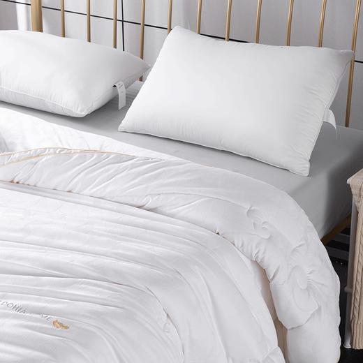 多喜爱 柔然大豆舒适加厚冬被 cs 商品图1