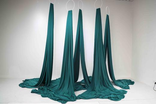 凤尾帘（运费自理） 商品图4