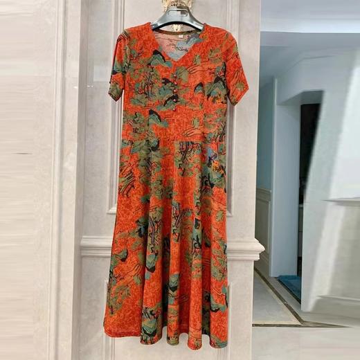 雅侬连衣裙9969（4） 商品图0