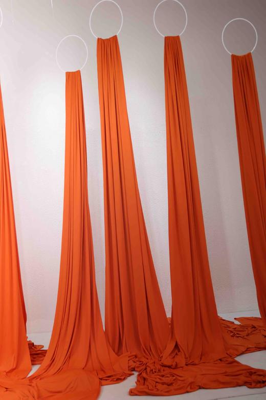 凤尾帘（运费自理） 商品图6