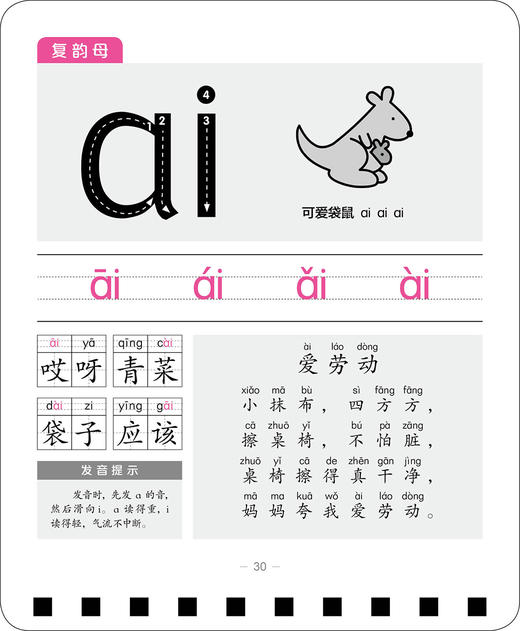(仓发) 一年级同步学习大卡拼音/长江少年儿童出版社/海豚低幼馆/9787556093151 商品图5