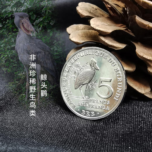 【法定货币】非洲珍稀野生鸟类纪念币套装（6枚） 商品图7