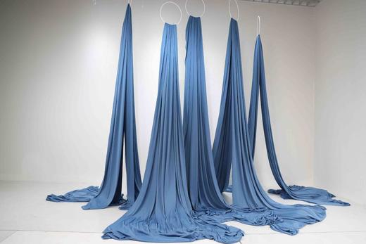 凤尾帘（运费自理） 商品图1