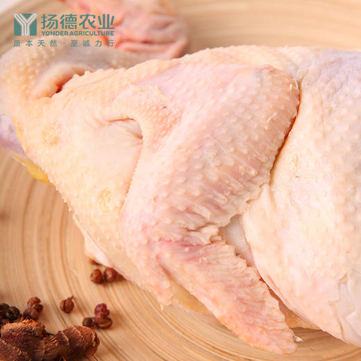 【口碑爆品，欢迎品鉴】扬德林下土鸡（1000g/只） 商品图2