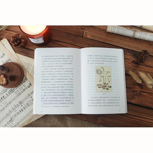 (仓发) 苗德岁讲达尔文（《物种起源》译者、著名古生物学家苗德岁带你走进达尔文的奇妙世界）/译林出版社/[美国]苗德岁/9787544787956 商品图3