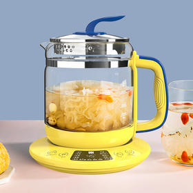 UDI养生壶（不带滤网）ZCW-Y20