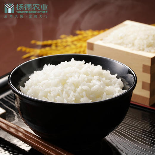 【米中茅台，强烈推荐 】扬德五常稻花香米 商品图3