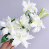 精品重瓣北极星百合鲜切花5支 商品缩略图2