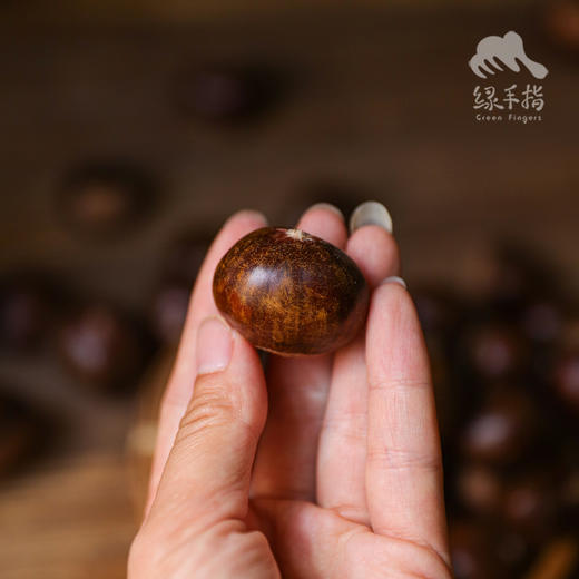生态鲜板栗（圆通） | 合作生产*Eco-Fresh chestnut | Partner Production 商品图4