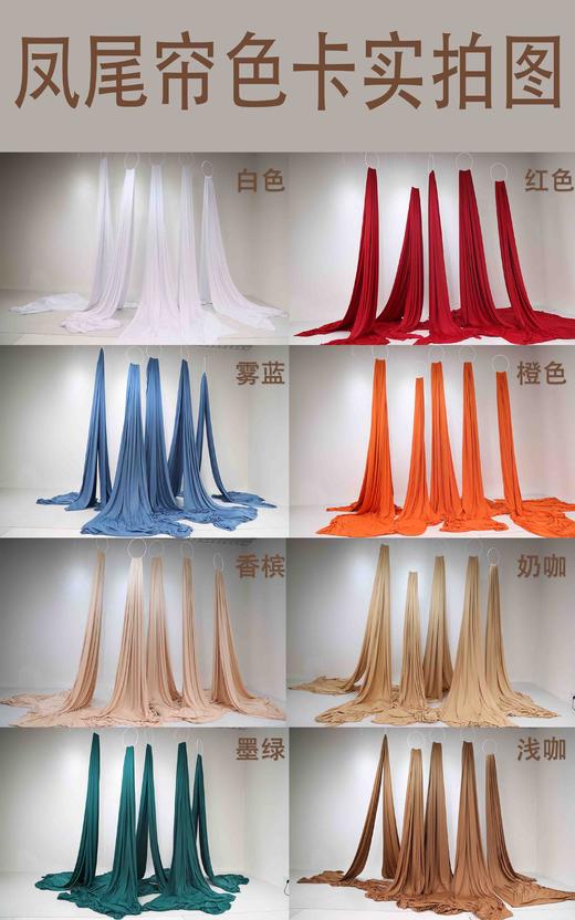 凤尾帘（运费自理） 商品图8