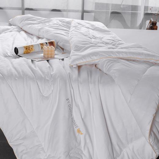 多喜爱 柔然大豆舒适四季被/冬被 cs 商品图1