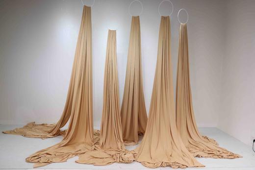 凤尾帘（运费自理） 商品图3