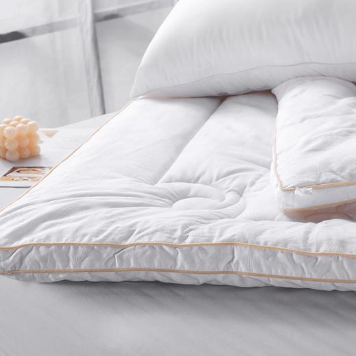 多喜爱 柔然大豆舒适加厚冬被 cs 商品图4