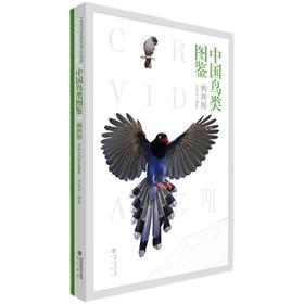 【48小时发货】《中国鸟类图鉴（鸦科版）》 巫嘉伟 常见新手入门观鸟日常 海峡书局【官方正版】