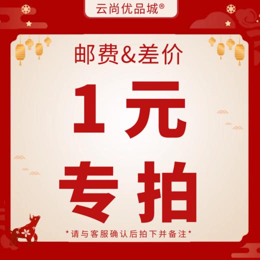 惊喜盲盒/补差价/邮费等专用链接（与客服确认后使用） 商品图1