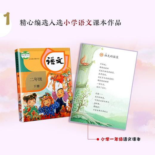 (仓发) （二年级）我们祖先的摇篮（小学语文同步阅读书系）/长江文艺出版社/吴珹/9787570223985 商品图1