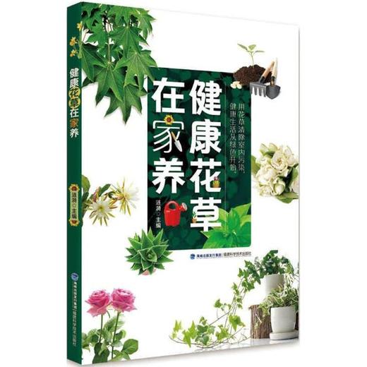 健康花草在家养 商品图0