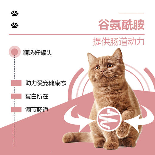 流体处方罐-肠道-猫用158g 商品图1