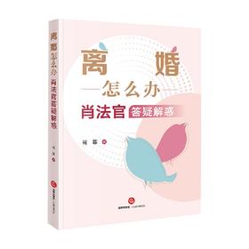 离婚怎么办 肖法官答疑解惑 肖菲 著 法律