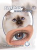 allecon 年抛美瞳 钻石猫眼蓝 直径14.0mm着色13.3mm 0-1000有525/575 商品缩略图13