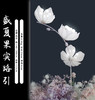 盛夏果实路引（运费自理） 商品缩略图1