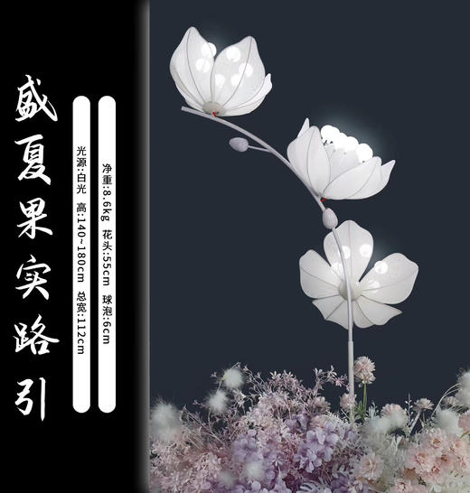 盛夏果实路引（运费自理） 商品图1