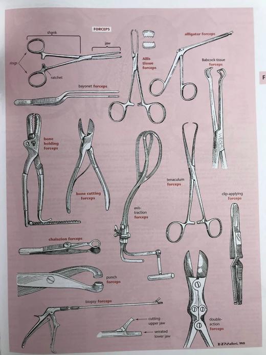 梅洛尼图解医学辞典 数千幅插图 精装16开 商品图8