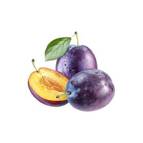 西梅（盒）约500g