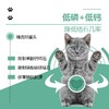 流体处方罐-泌尿-猫用158g 商品缩略图1