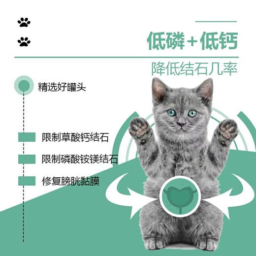 流体处方罐-泌尿-猫用158g 商品图1